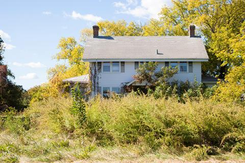 Overgrown yard code violation