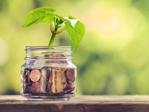 Plant growing out of coin