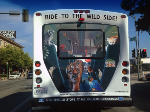 Image of Dial-a-Ride bus driving near the Carlton Hotel.