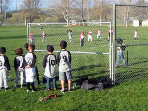 T Ball team in uniform looking out at a game in progress on the field.