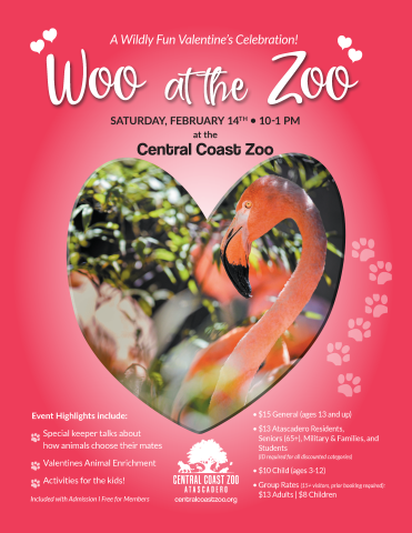 Woo at the Zoo event flyer for February 14, 2026, from 10:00 AM to 1:00 PM at the Central Coast Zoo. The event includes keeper talks about animal mating behaviors, animal enrichment, and children’s activities. The flyer features heart and paw print graphics and a photograph of a flamingo.