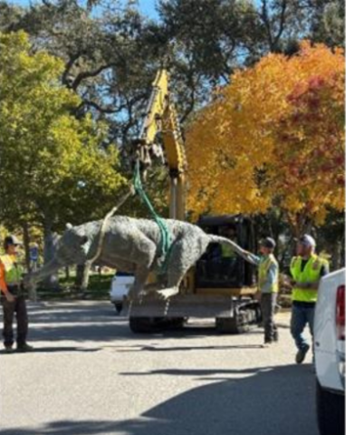 Bronze Tiger statue being moved through the Charles Paddock Zoo parking lot.